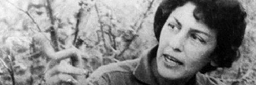 Imprescindible Celia