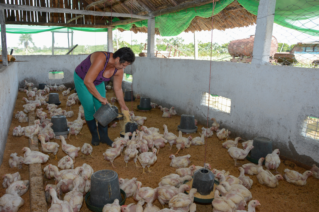 Foto: Leandro Pérez Pérez /Adelante