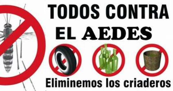 Imagen: Archivo Fortalecen medidas ante auge de dengue en Camagüey