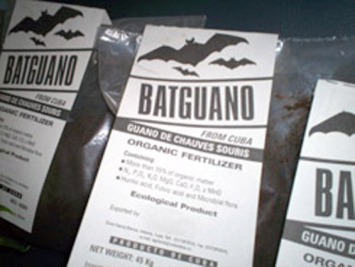 Fotos: Eduardo Labrada Rodríguez Leiva/ Adelante Guano de murciélago: disputa, bloqueo y una visita del Che