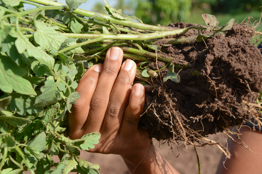 Foto: Leandro Pérez Pérez /Adelante