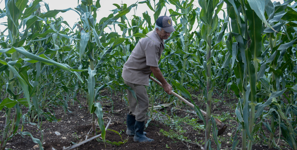 Asociación Nacional de Agricultores Pequeños celebrará su aniversario