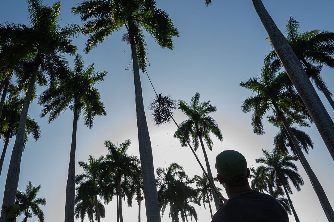 Foto: Leandro Pérez Pérez/Adelante/Archivo