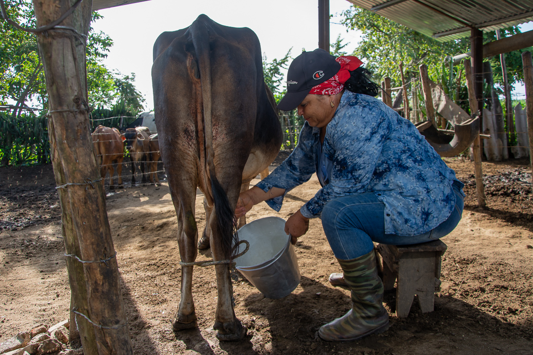Foto: Leandro Pérez Pérez  /Adelante A pesar de los pesares, la Evelio llegó millón