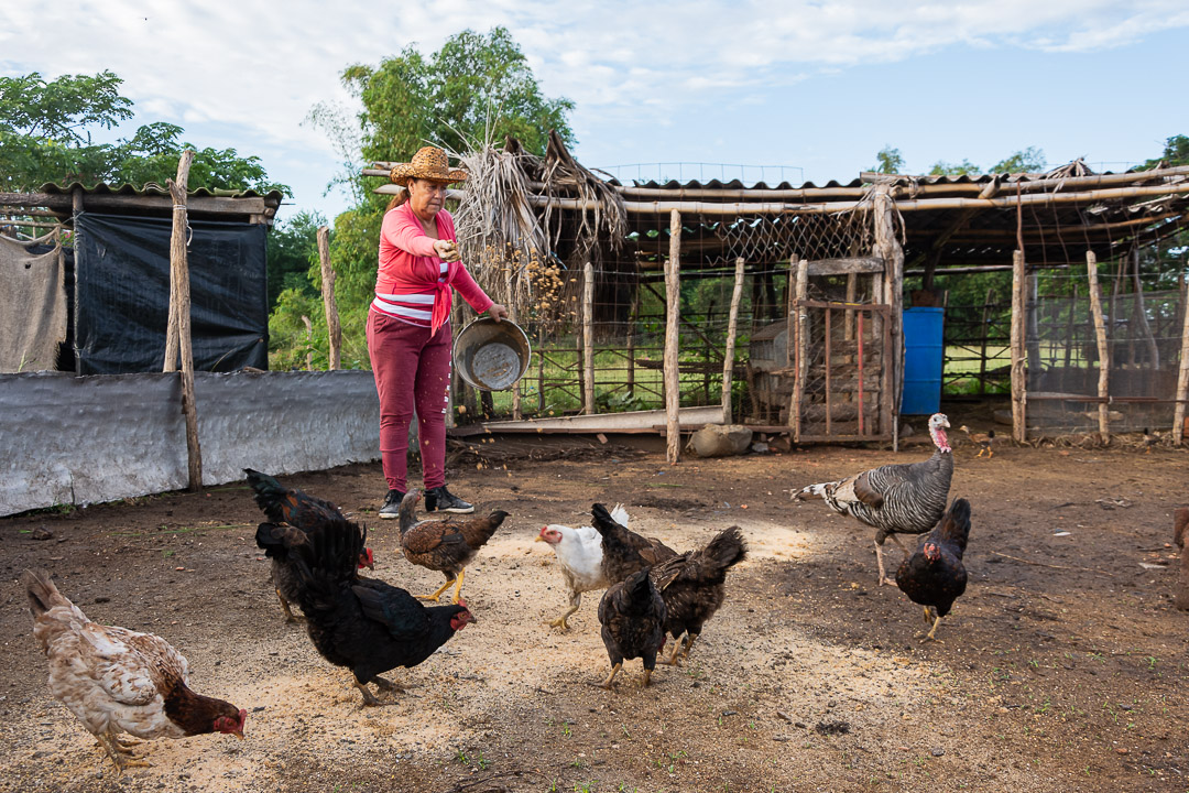 Fotos: Leandro Pérez Pérez/Adelante
