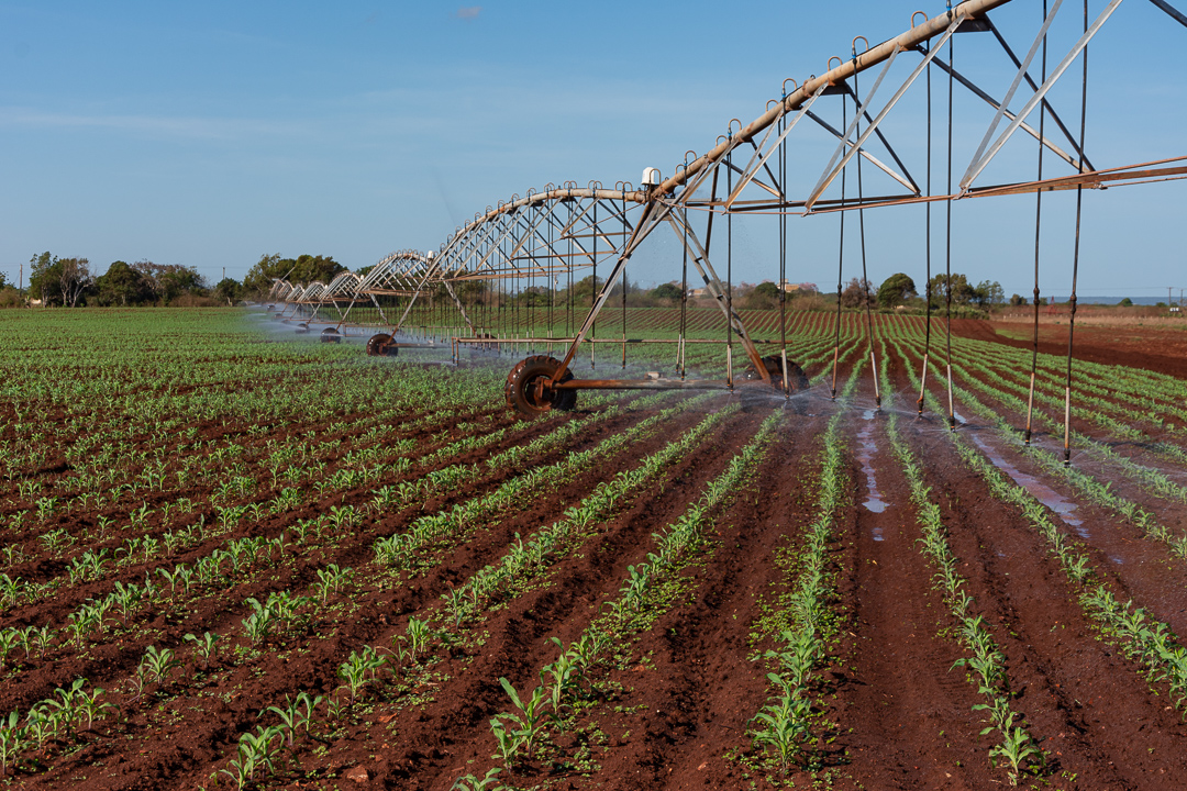 Fotos: Leandro Pérez Pérez/Adelante