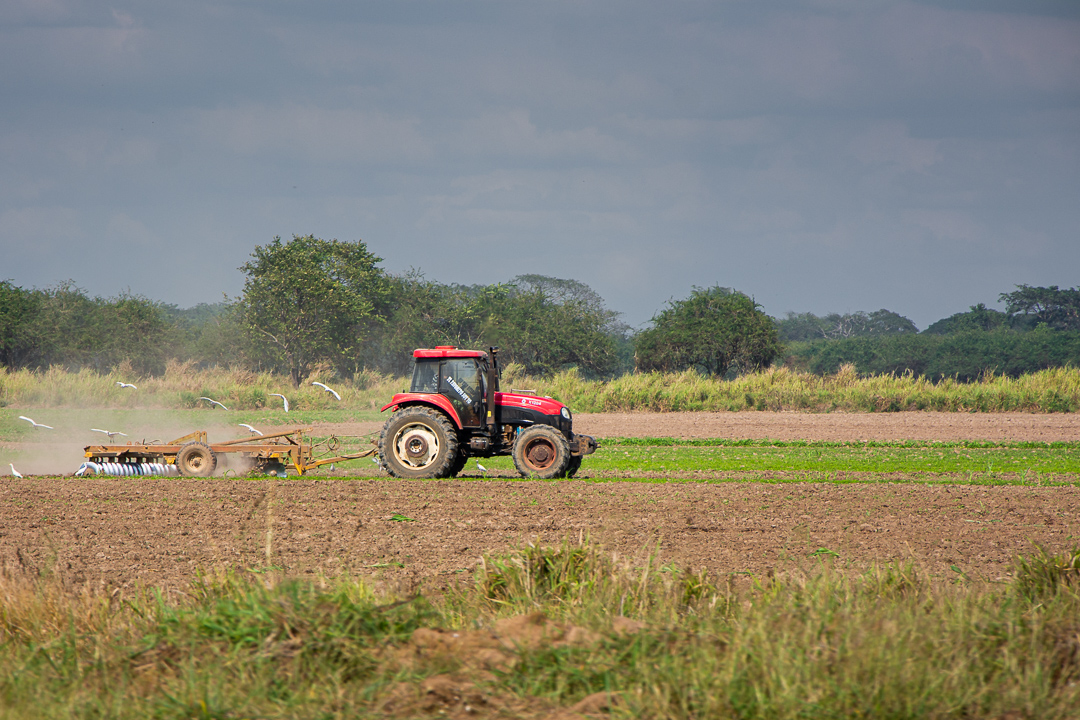 Foto: Leandro Pérez Pérez /Adelante