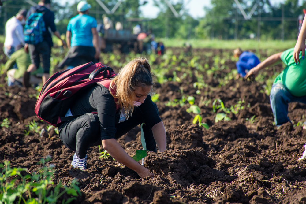 Foto: Alejandro Rodríguez Leiva/ Adelante