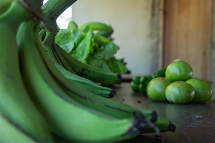Foto: Tomada de ACTAF En fase de ejecución Redes Irma en Esmeralda