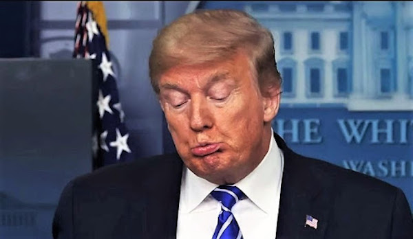 Foto: tomada de gearbest.com El derrotado Trump no se da por vencido