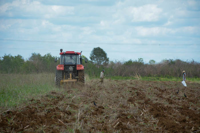 Foto: Alejandro Rodríguez Leiva/ Adelante Alianzas científicas por más producción de alimentos en Camagüey