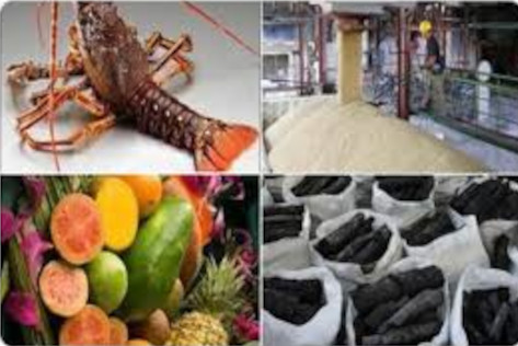 Photo: Taken from acn.cu Camagüey province boosts export growth