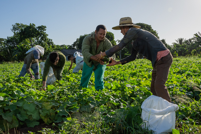 Foto: Leandro Pérez Pérez/Adelante/Archivo