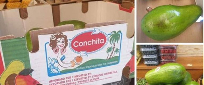 Formas de gestión no estatal cubanas avanzan en comercio exterior