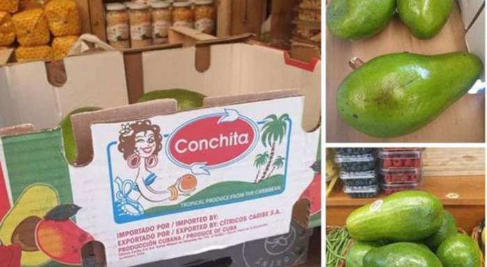 Foto: tomada de cubasi.cu Formas de gestión no estatal cubanas avanzan en comercio exterior