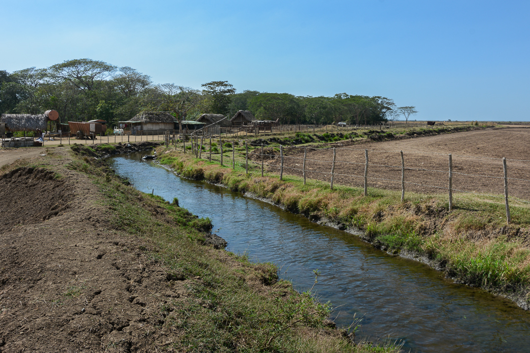 Fotos: Leandro Pérez Pérez/Adelante