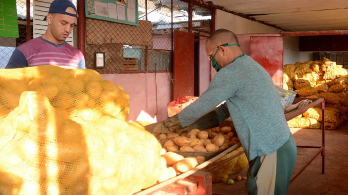 Foto: tomada de acn.cu Venta de papa se extiende a todos los municipios camagüeyanos