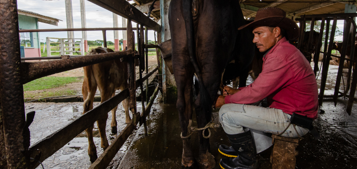Ordenamiento Monetario: como un cubo de leche fría