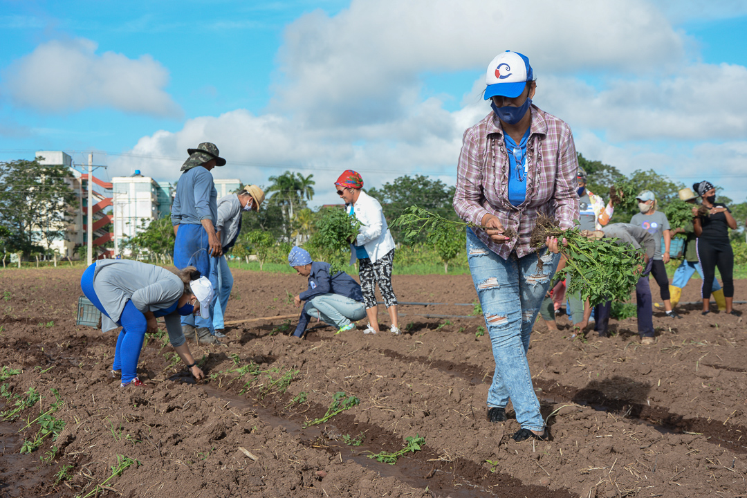 Foto: Leandro Pérez Pérez /Adelante