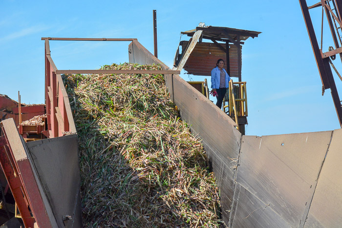 Fotos: Alejandro Rodríguez Leiva / Adelante