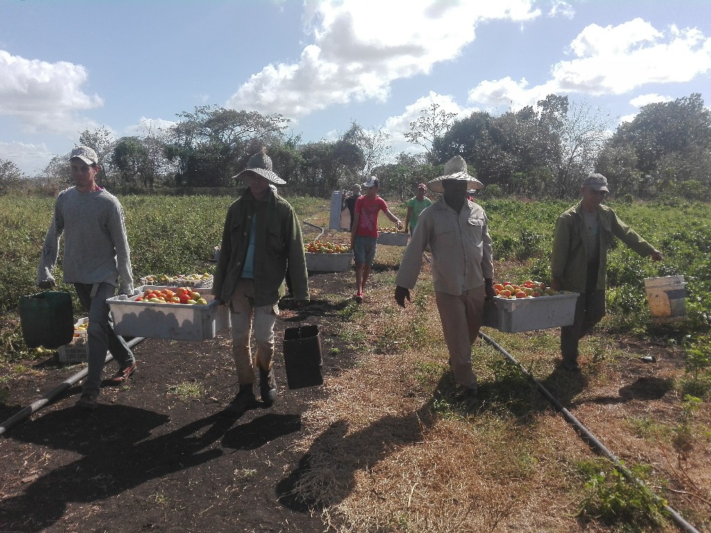 Foto: Tomada de Radio Santa Cruz