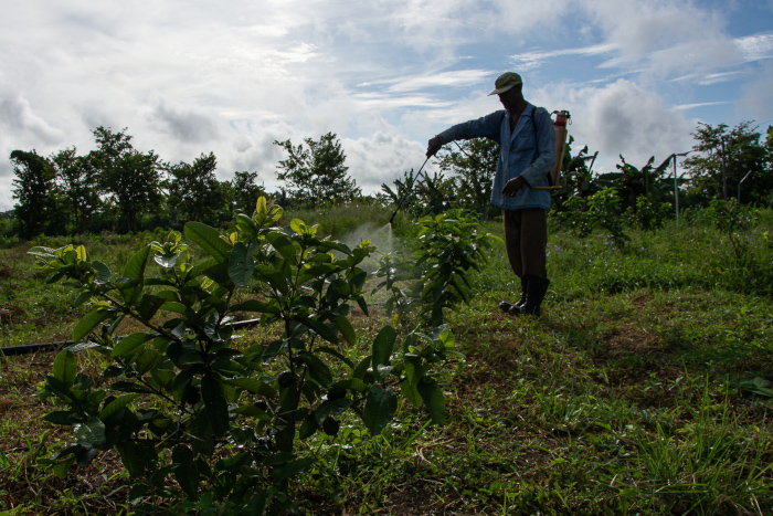 Acercar los planes al plato de la gente