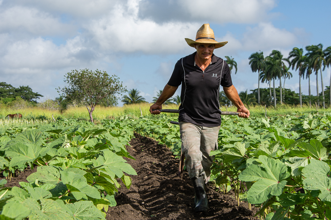 Fotos: Leandro Pérez Pérez/Adelante