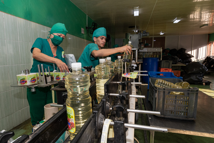 Foto: Leandro Pérez Pérez/ Adelante Elaboración de Vinagre y Vino Seco crece en Camagüey