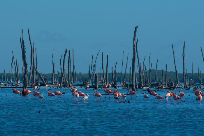 Fotos: Cortesía del grupo Bioencuadre