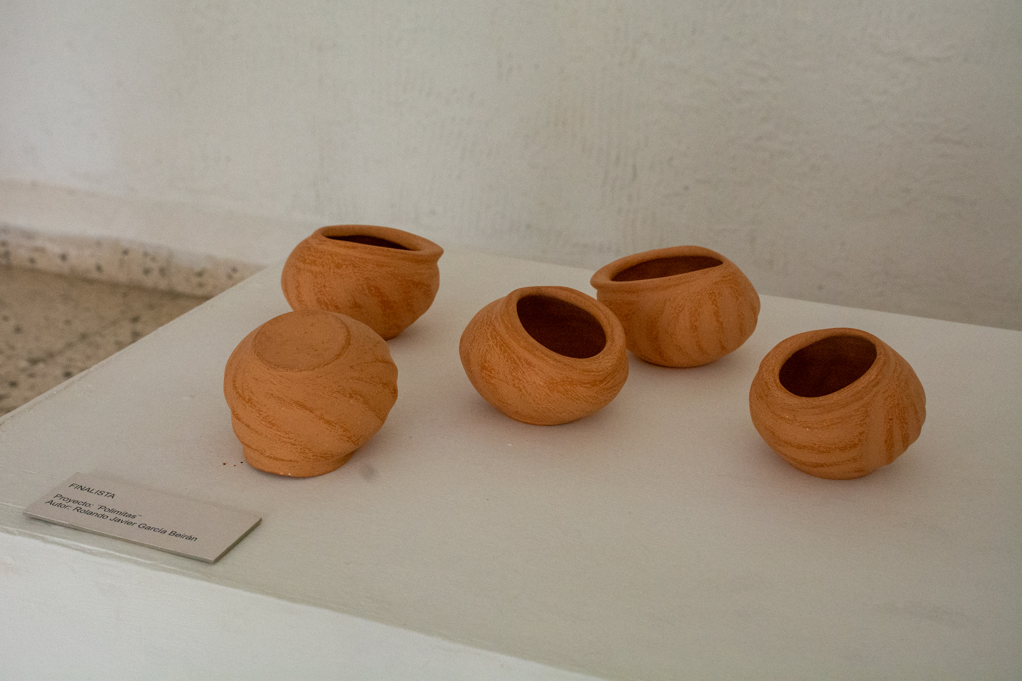 Fotos: Cortesía del artista
