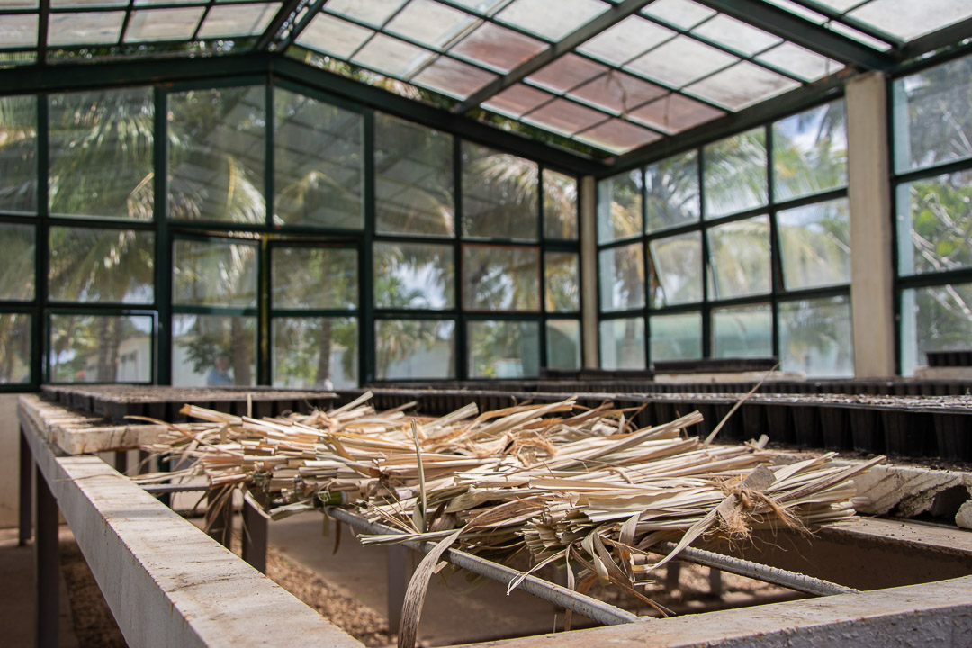 Fotos: Maday Cala Tabarcia/ /Estudiante de Periodismo