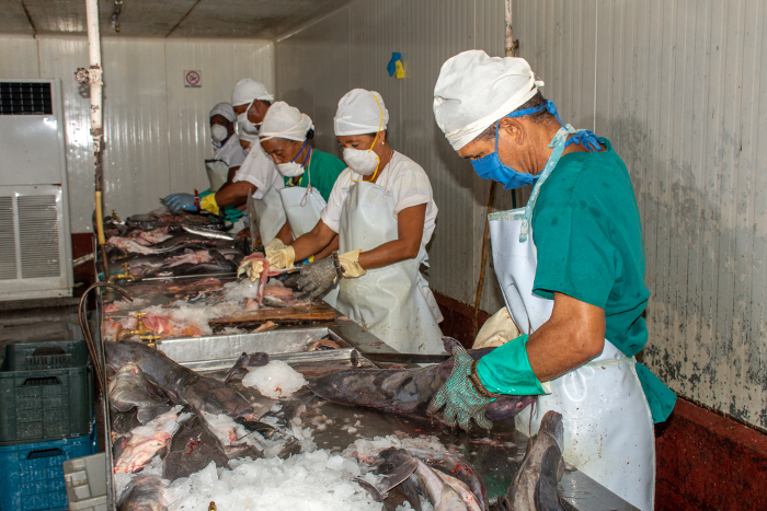 Foto: Alejandro Rodríguez Leyva/ Adelante/Archivo