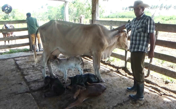 Fotos: Leandro Pérez Pérez/ Adelante Los cuatro de la Charolina