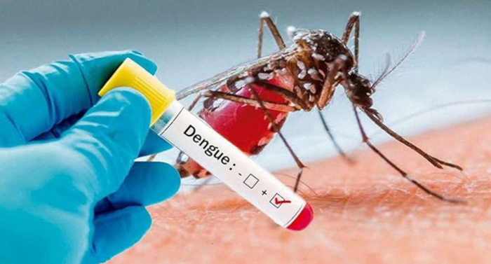 Foto: Tomada de clinicamayo.com.ar Ante el dengue no caben descuidos