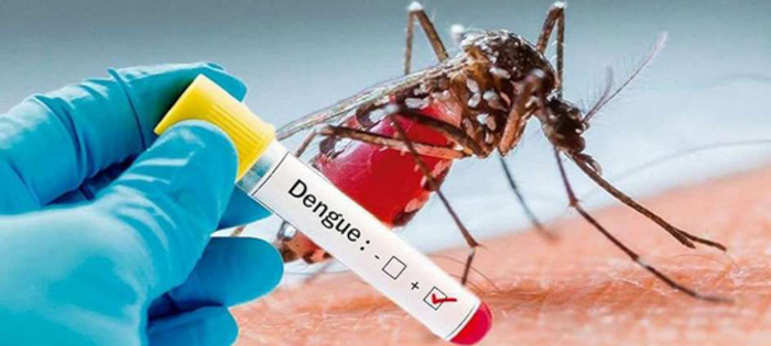Ante el dengue no caben descuidos