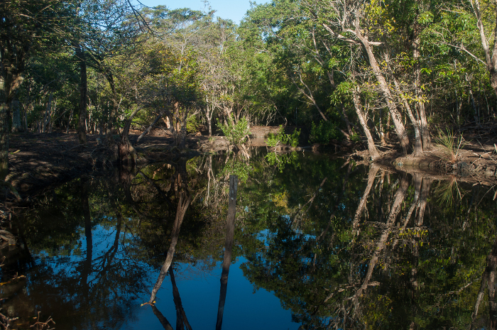 La desembocadura del río Máximo en Camagüey, está en la lista Ramsar. Foto: Archivo Sitios Ramsar cubanos son de interés para viajeros foráneos