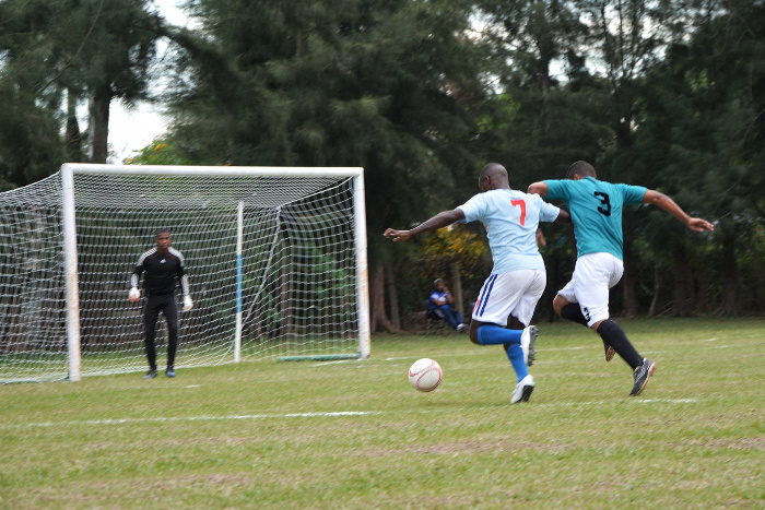 Foto: Otiilio Rivero Delgado/ Adelante/ Archivo Miuras, otra vez sobre el pasto