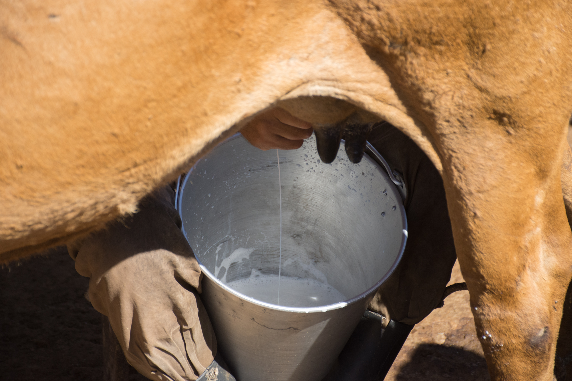 Fotos: Alejandro Rodríguez Leiva/ Adelante