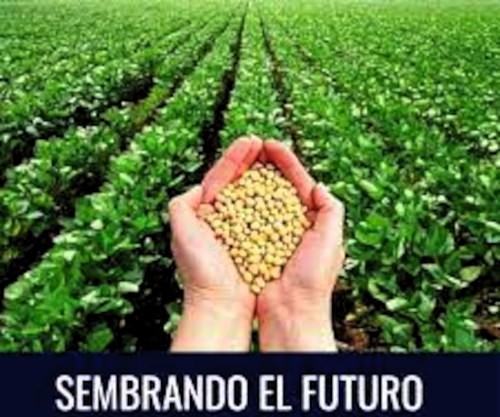 Por la soberanía alimentaria Cuba alista anteproyecto de ley