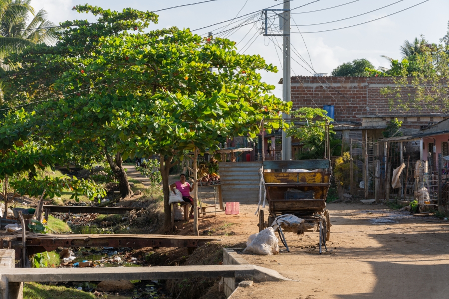 Fotos: Leandro Pérez Pérez/Adelante