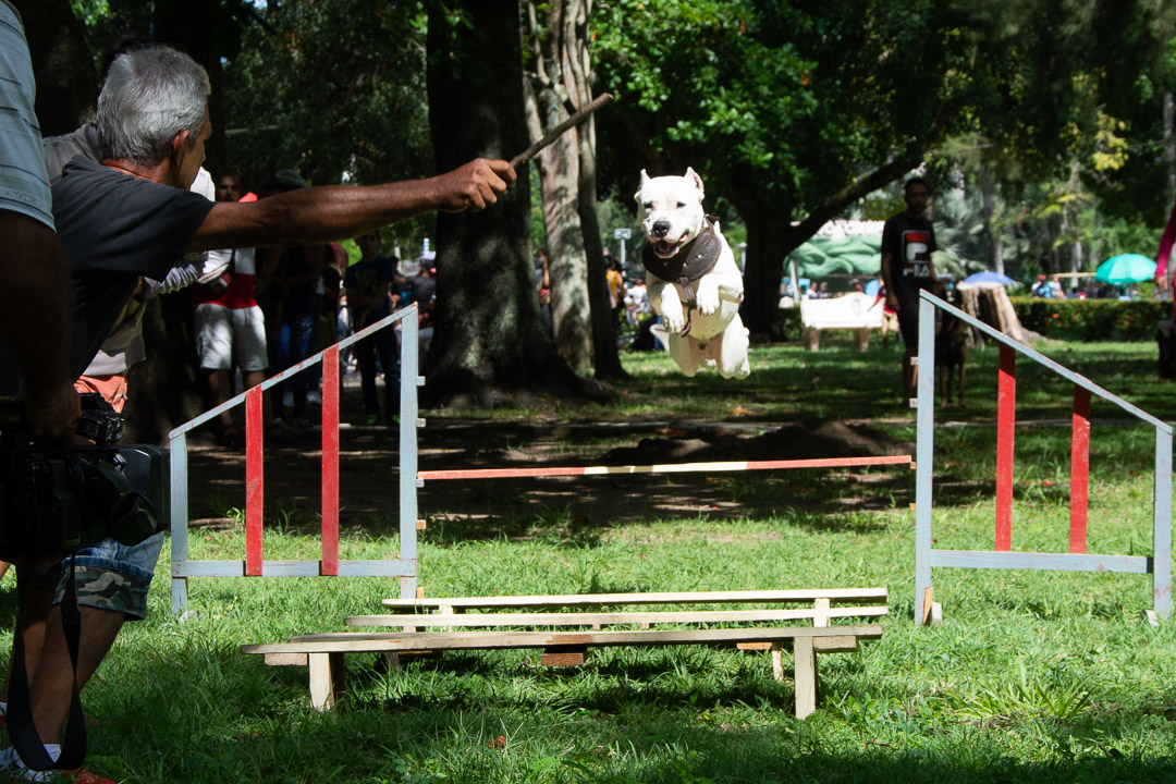 Fotos: Leandro Pérez Pérez/Adelante