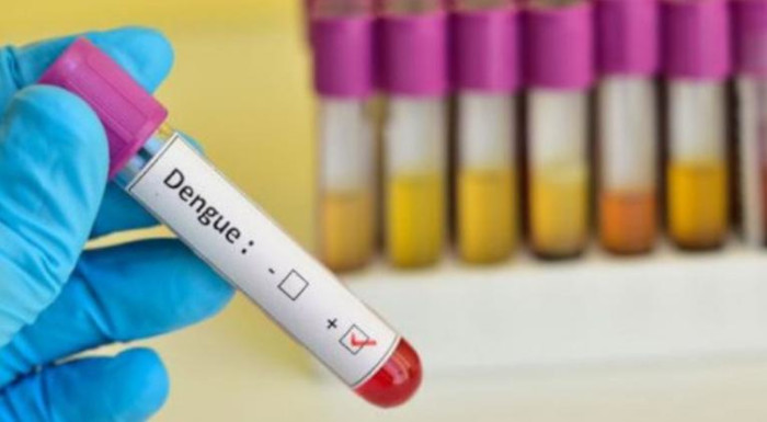 Foto: Tomada de cubasi.cu Autorresponsabilidad individual y familiar ante casos de dengue