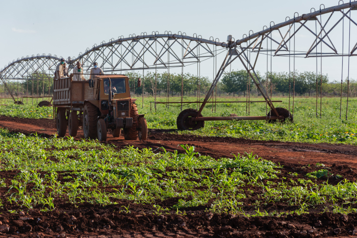 Foto: Leandro Pérez Pérez/ Adelante / Archivo Chispa de emulación por el 26 de Julio en Camagüey