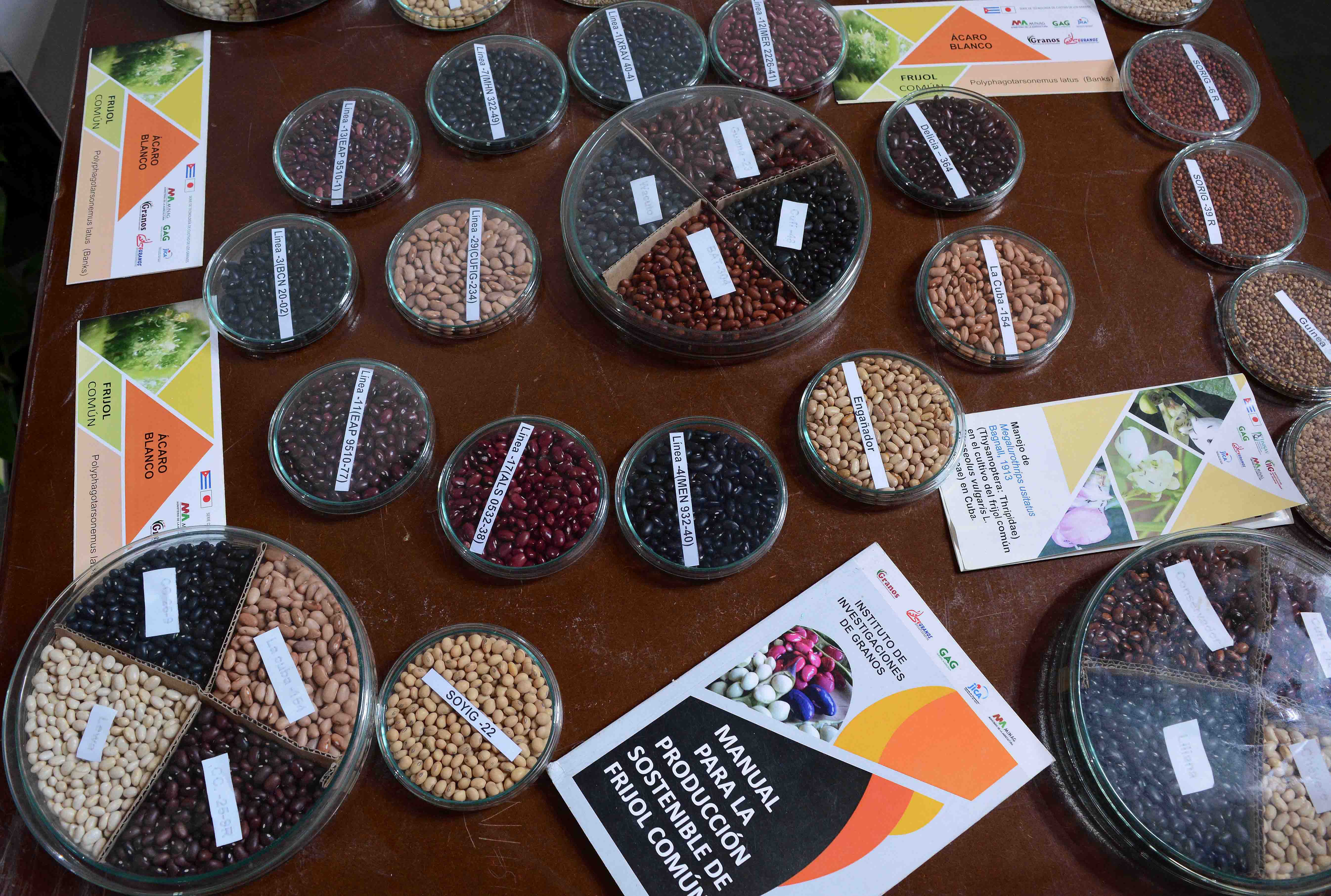 Fotos:Rodolfo Blanco Cué /ACN