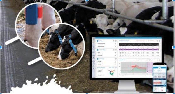 Foto: Cortesía de la Universidad Una universidad con la mira en los problemas