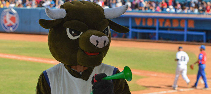 Todo listo para la Serie Provincial de Béisbol