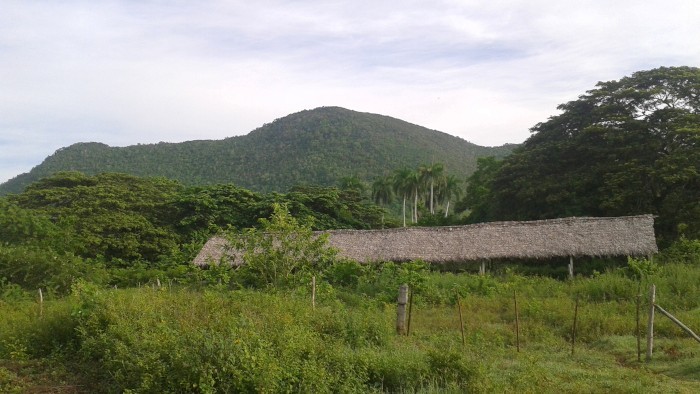 Admira el paisaje del cerro del Tuabaquey desde el Centro de Investigación Biológica.