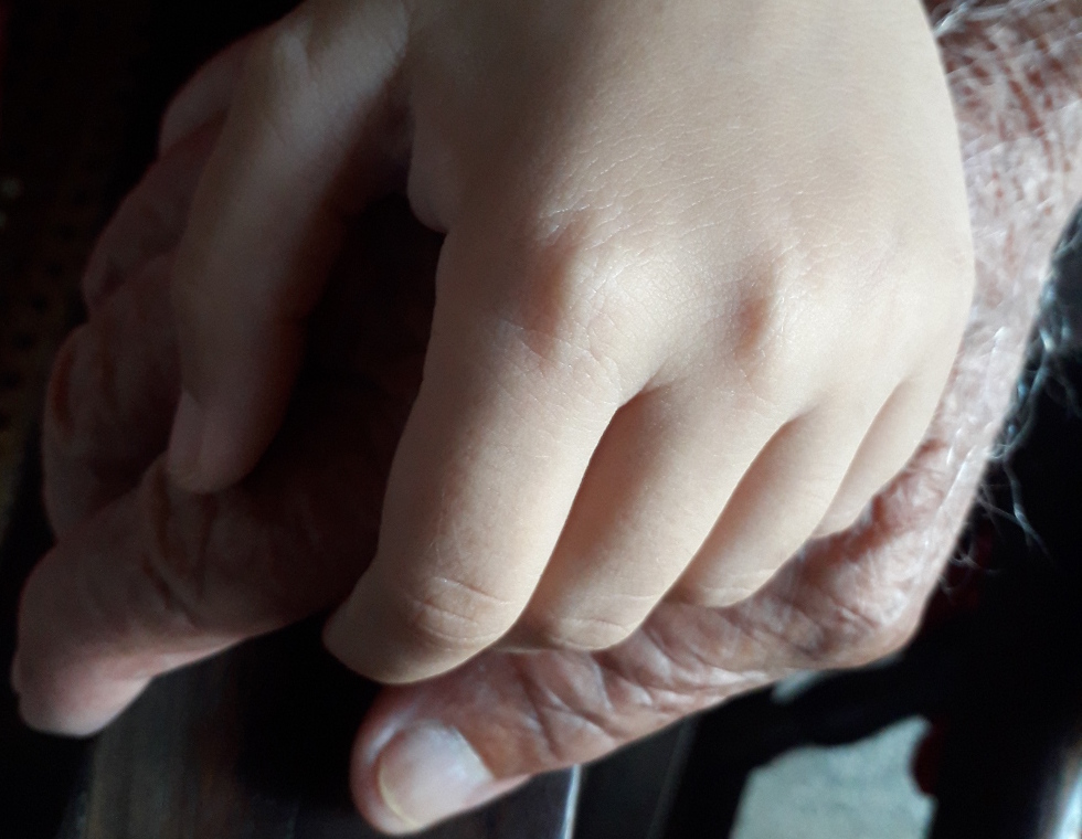 Abuelidad