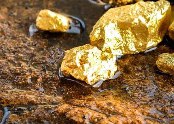 Yacimientos de oro, en la mira hoy de ciencias de la tierra