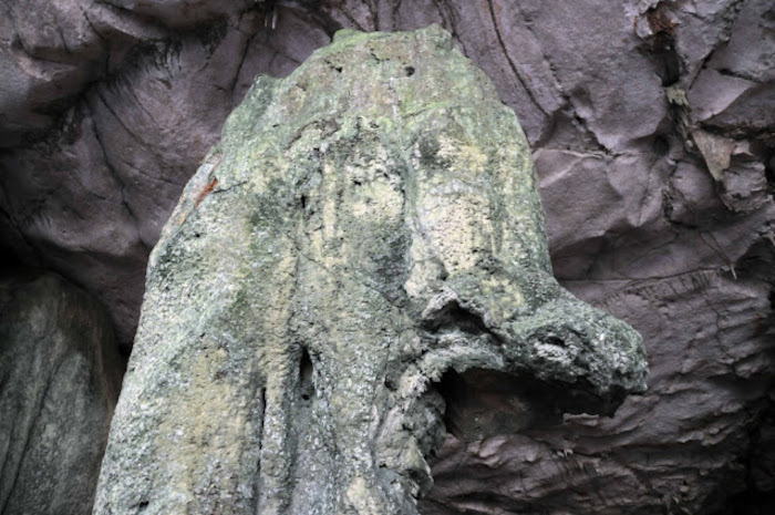 Primera empresa privada para los espacios verdes